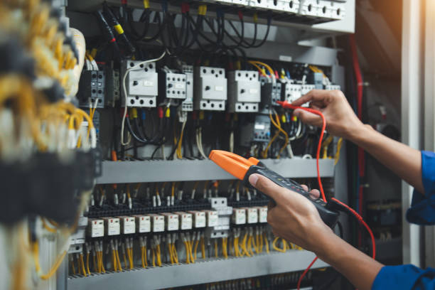 Best Electric Panel Repair  in Hampton, GA